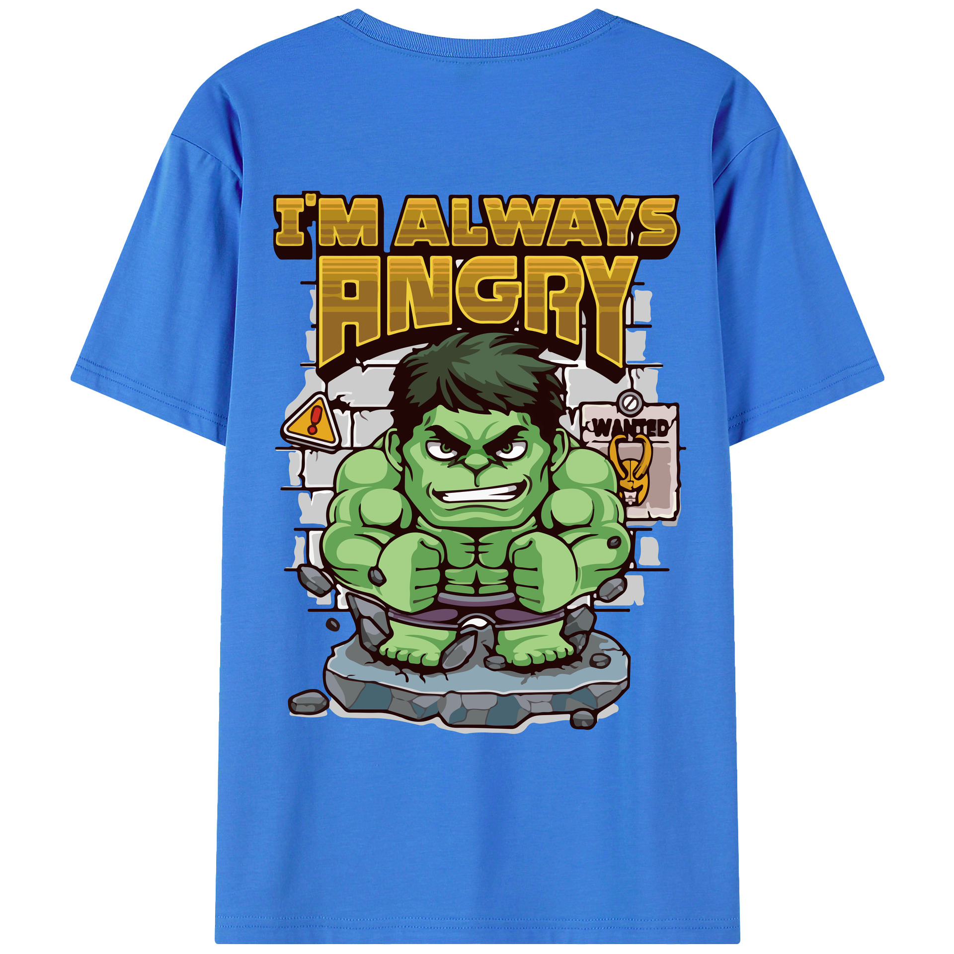 （画像用） アベンジャーズ The Avengers 綿100％ メンズ半袖Tシャツ（バックプリント） 通気性