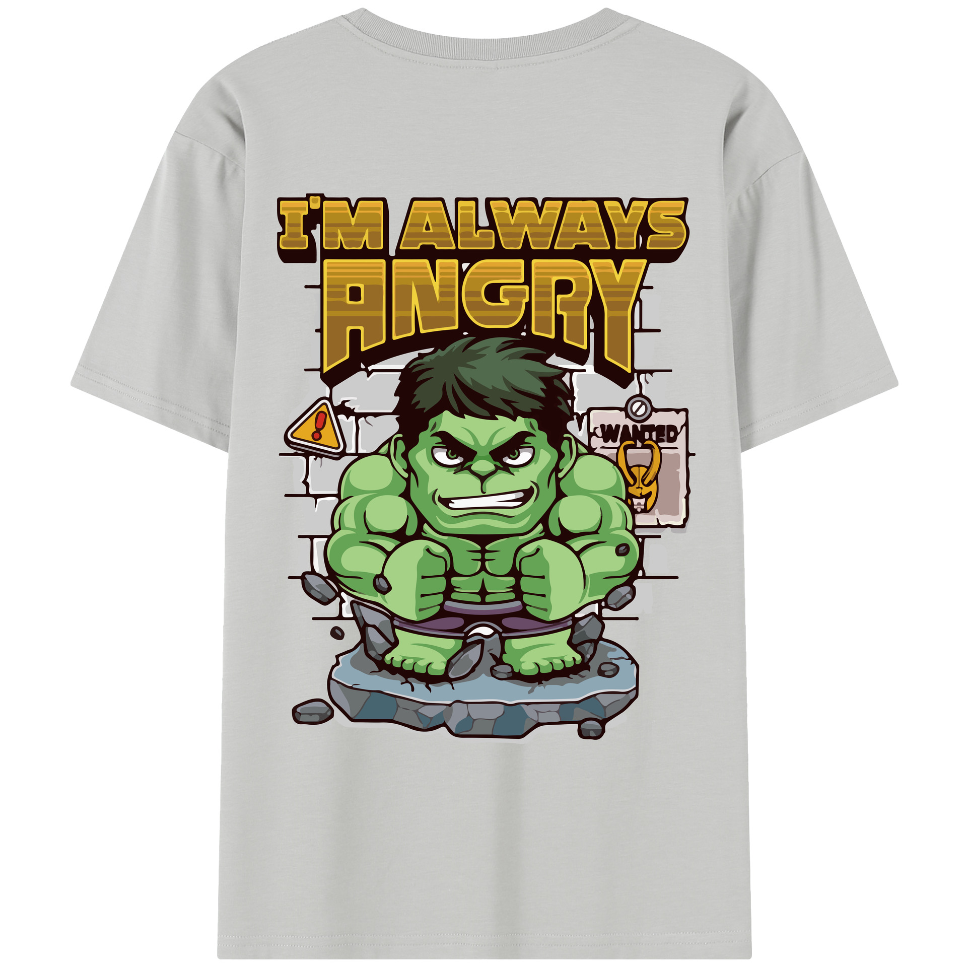 （画像用） アベンジャーズ The Avengers レディース半袖Tシャツ(バックプリント)