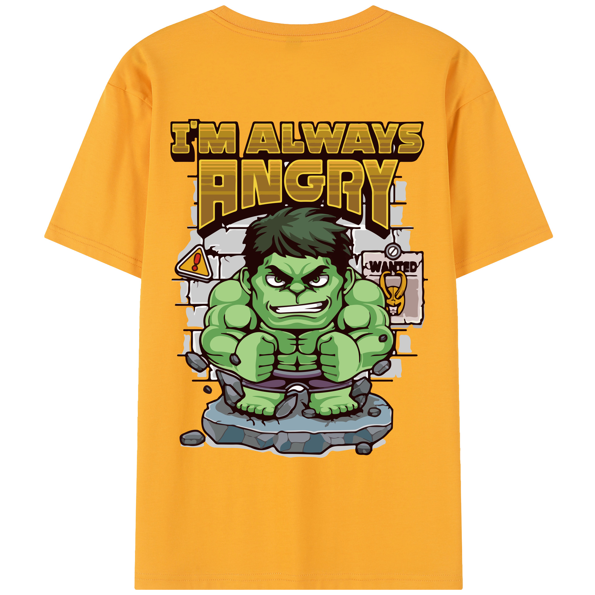 （画像用） アベンジャーズ The Avengers レディース半袖Tシャツ(バックプリント)