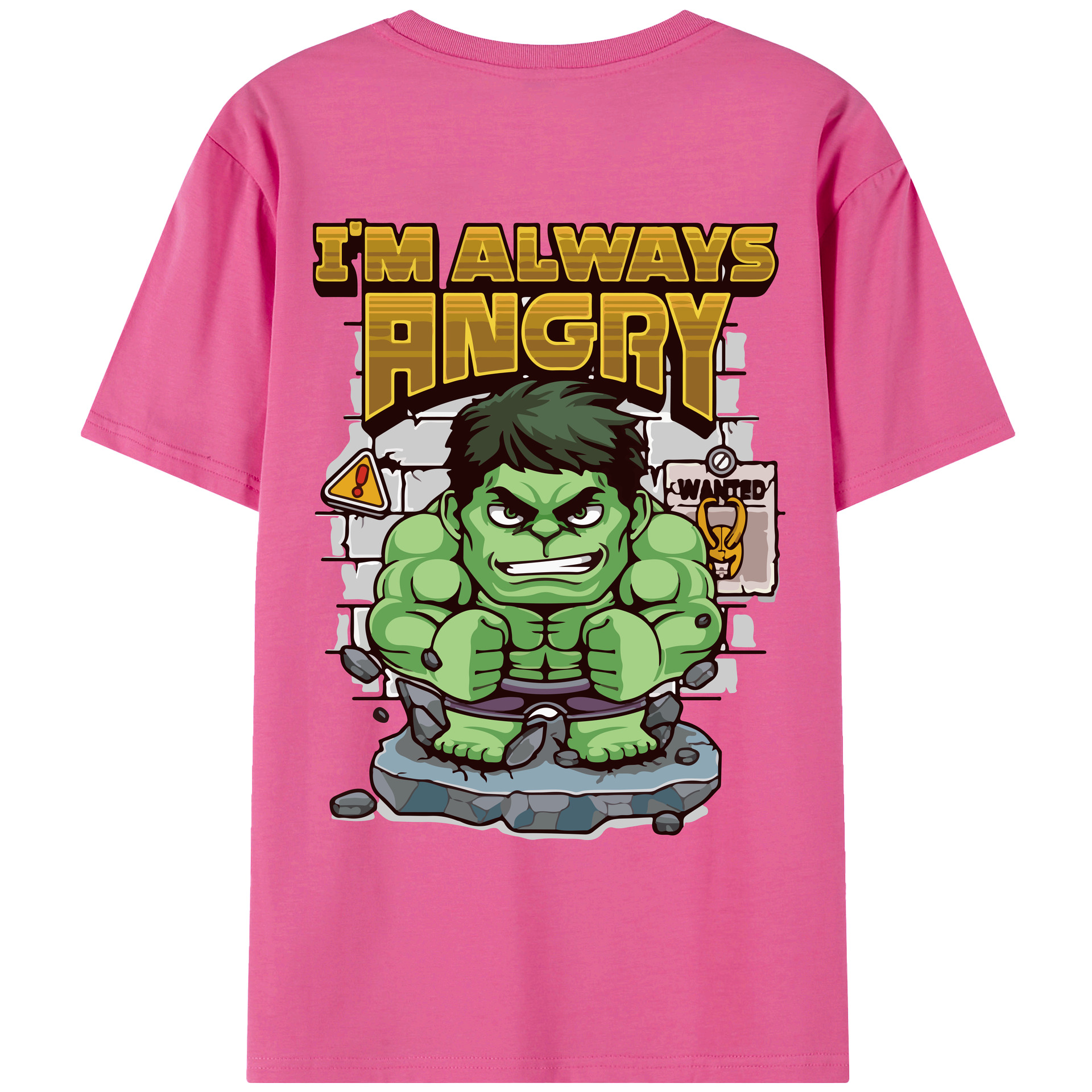 （画像用） アベンジャーズ The Avengers レディース半袖Tシャツ(バックプリント)
